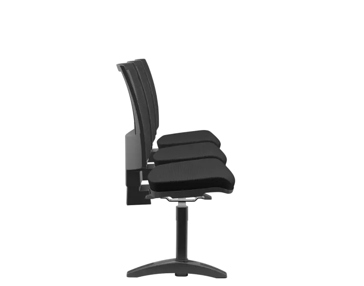 LONGARINA BARRY EM TELA